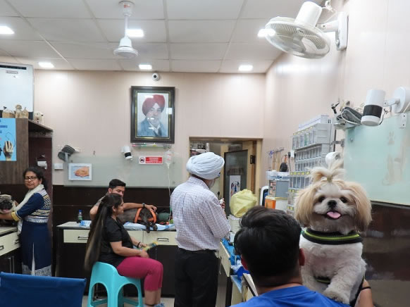 Out Patient Department