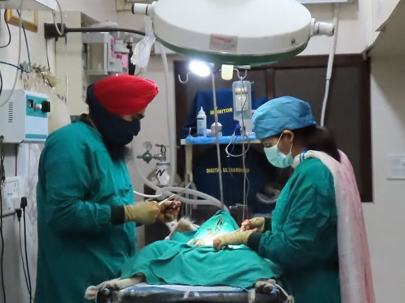 Treatments and Surgeries